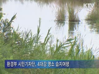 올 여름 휴가 '4대강 생태습지로 떠나요'