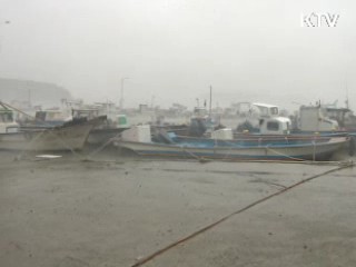 전남 5개군 '특별재난지역' 조기 선포