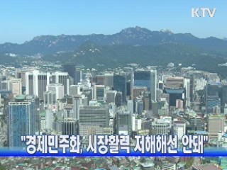 "경제민주화, 시장활력 저해해선 안돼"