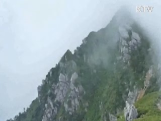 日 '중앙알프스' 사망 한국인 4명으로 늘어