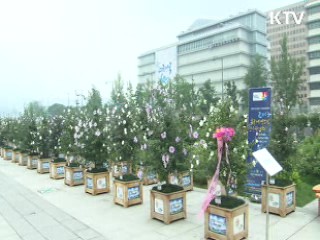 도심에서 즐기는 '나라꽃 무궁화 전국축제'