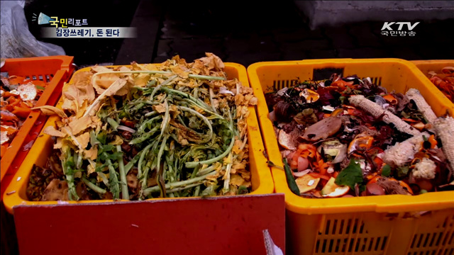 골칫거리 김장쓰레기 '퇴비'로 주목