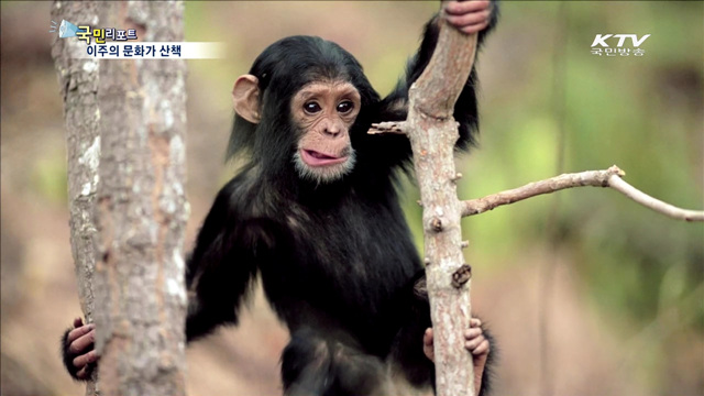 이주의 문화가 산책 (15. 12. 31. 17시)