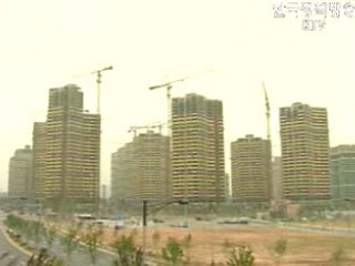 기능 중심 도시