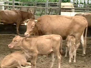 품질관리로 `승부`