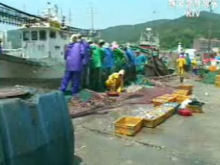 어종별 포획금지 기간, 크기 제한 강화