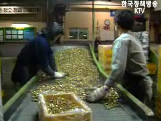 비정규직 대책, 배경과 의미