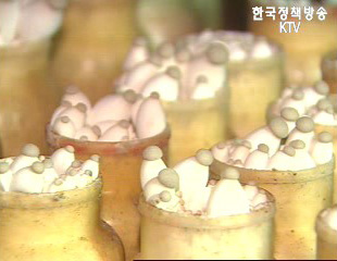 농업도 CEO 시대