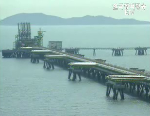 `강제적 에너지절약대책 검토 안해`