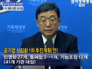 공기업 선진화 민영화 방안