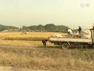 쌀직불금 부당수령시 '3배 환수'