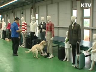 복제 마약탐지견, 임무 시작