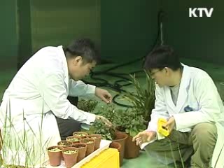 창의자본 조성…'지식강국' 도약