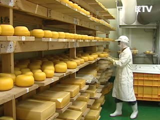 올해 지역연고산업 육성 537억원 투입