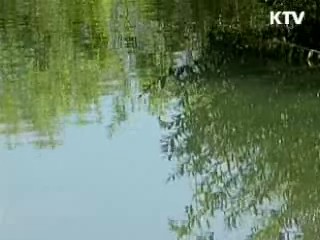 생태하천 조성사업, 수질개선 효과 커