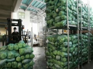 오늘부터 김장재료 부정수입 특별단속