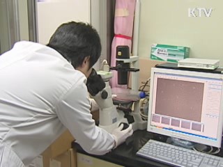 쌍벌제 시행…경조사비 '원칙적 금지'