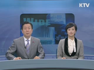 정책 와이드 (49회)