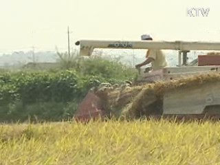 쌀 변동직불금 80kg당 1만5천588원