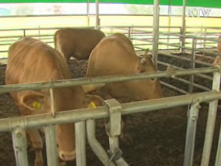 취약산업 경쟁력 강화로 개방 파고 넘는다