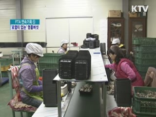 '국산 명품버섯' 개발…로열티 부담 덜어