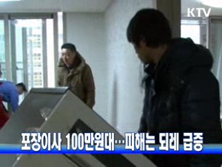 포장이사 100만원대…피해는 되레 급증