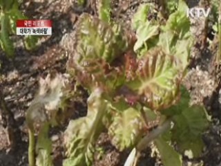 확산되는 대학가 녹색바람 [국민리포트]