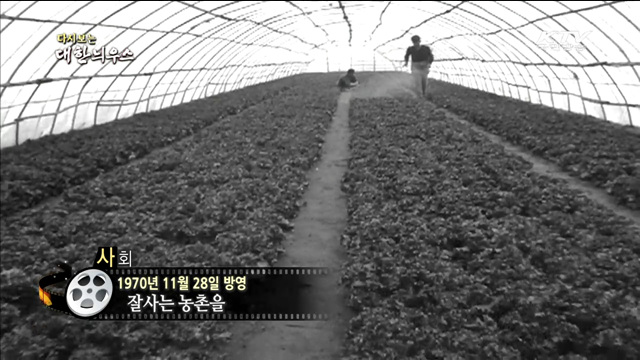 다시보는 대한늬우스 (71.11.28)