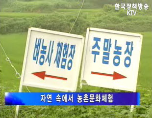 휴가는 농어촌에서 기획시리즈 2