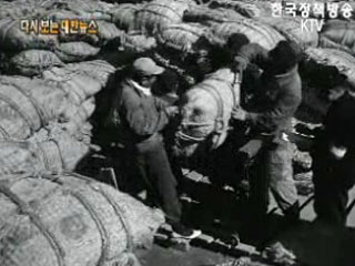쌀의 품질검사('62)