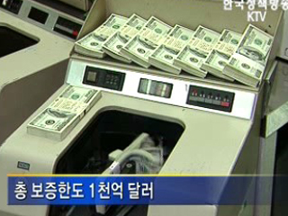 은행 외화차입 지급보증안 의결