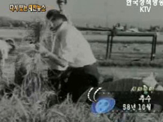 추수('58)