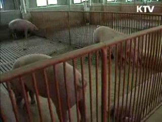 손 자주 씻고 증상 발견시 신고