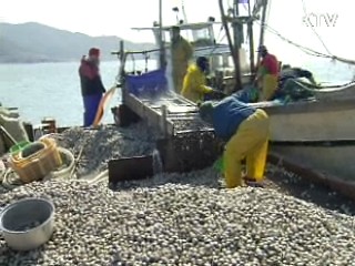 어업용 유류 면세혜택 축소