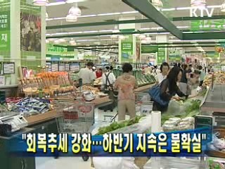 "회복추세 강화…하반기 지속은 불확실"