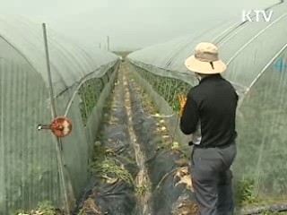 4대강 사업 연내 5천800억원 보상
