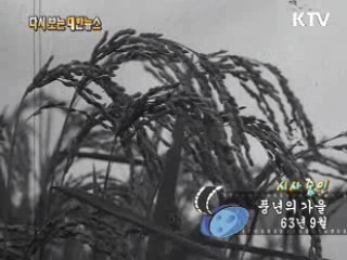 풍년의 가을(63')
