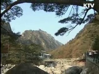 정부 "신변안전 해결돼야 금강산 관광 재개"