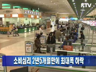 소비심리 2년5개월만에 최대폭 하락