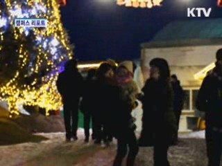 허브향에 더해지는 불빛의 향연