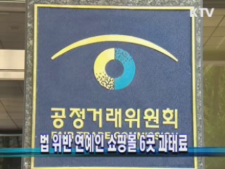 법 위반 연예인 쇼핑몰 6곳 과태료