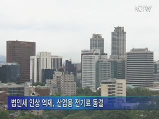 "경제활력 위해 한시적 규제 완화 추진"