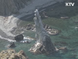 "해병대, 독도 상륙훈련 취소"