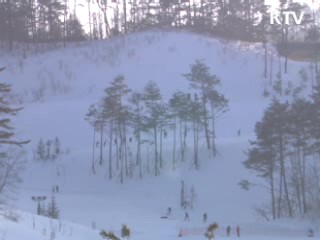 2013 평창 동계스페셜올림픽 오늘 개막