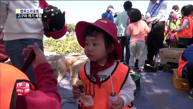 고구마 캐며 수확의 즐거움 느껴요