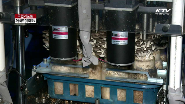 농산물수입시대…자동화로 경쟁력 확보 [국민리포트]