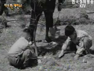 제16회 식목일 행사(`61)