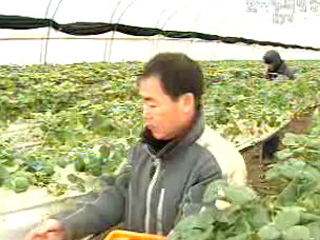 고객 만족형 개발