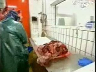 농림부, 미 쇠고기 작업장 점검단 재 파견