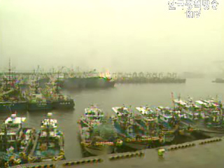 충청 이남 집중 호우